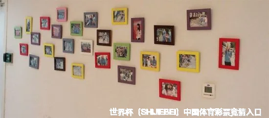 FIFA 中国平台介绍