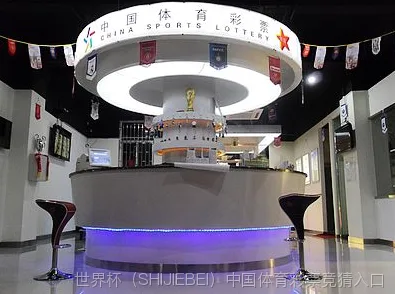 核心团队：专业与温度的融合